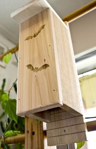Want birds? Bats? Bees? Offer custom-made housing   