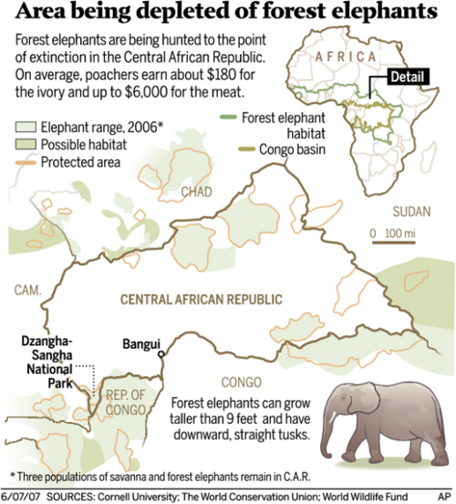 where do elephants live map