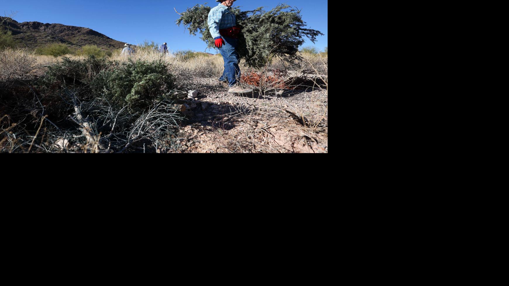 Restoration project has 99 problems but a ditch ain’t one | Environment ...