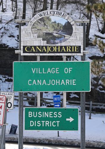 Emotional Support Pig