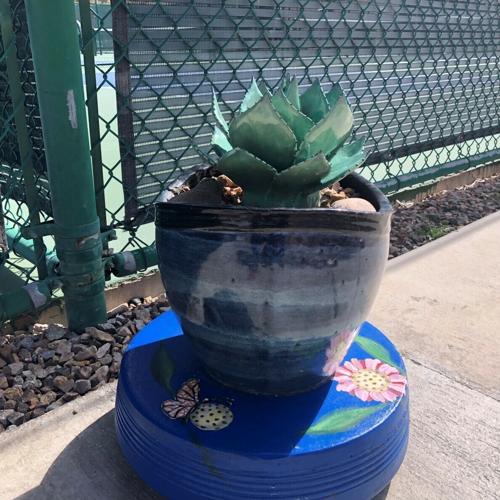 SaddleBrooke Pickleball Association Members Donate Ceramic and Pottery