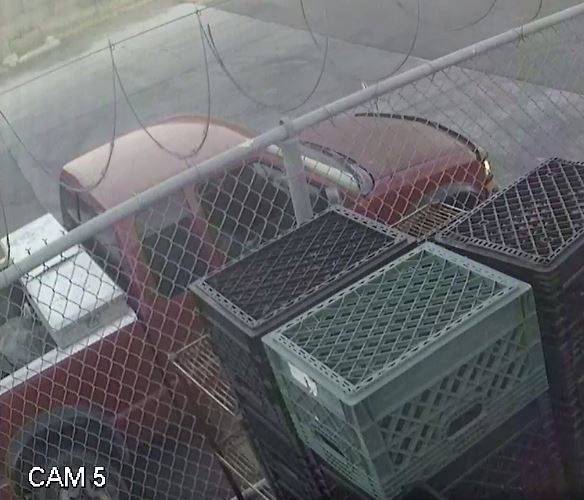 Lucky Wishbone suspect