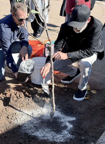 Tucson's new Sprouts House to spring to life in January