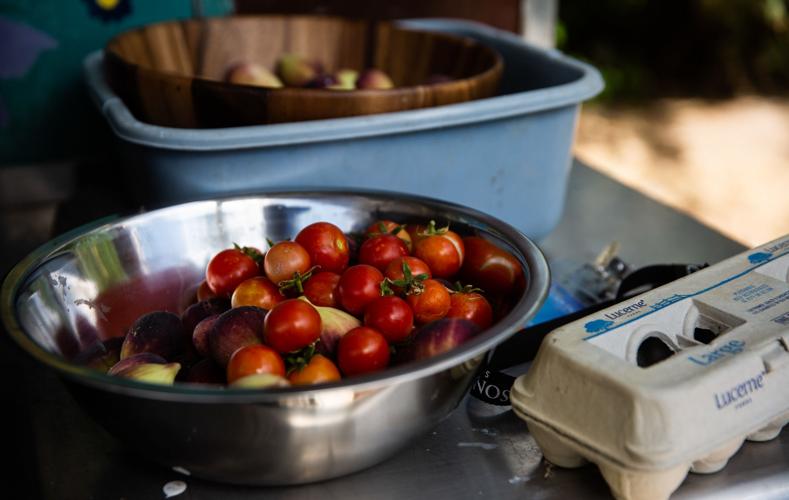 THMS Community Garden