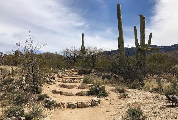 Beginning of the trail