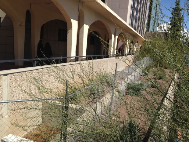 Fences at County Administration Building