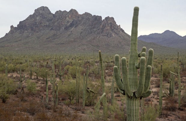 Ironwood Forest National Monument