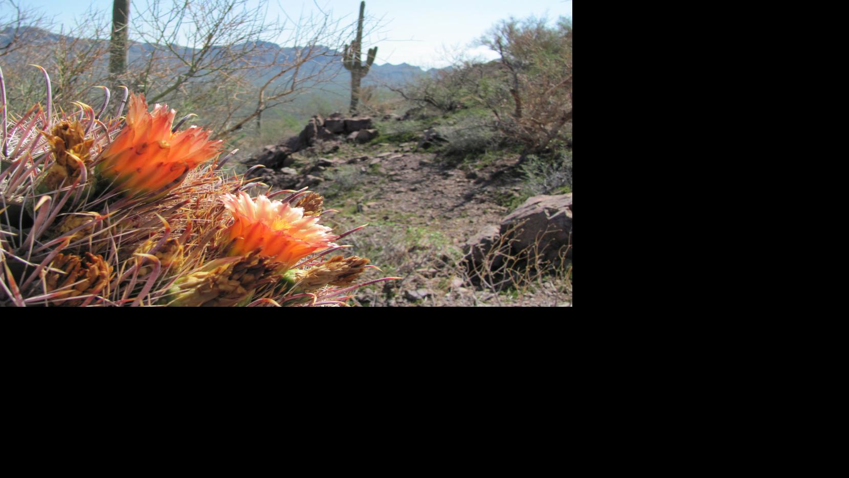 Tucson weather Gusty winds, warmer temps and fire conditions