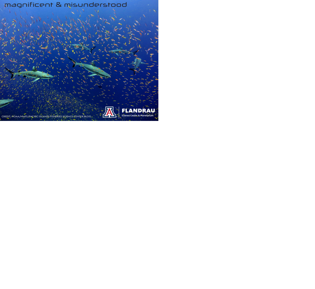 Flandrau Science Center & Planetarium