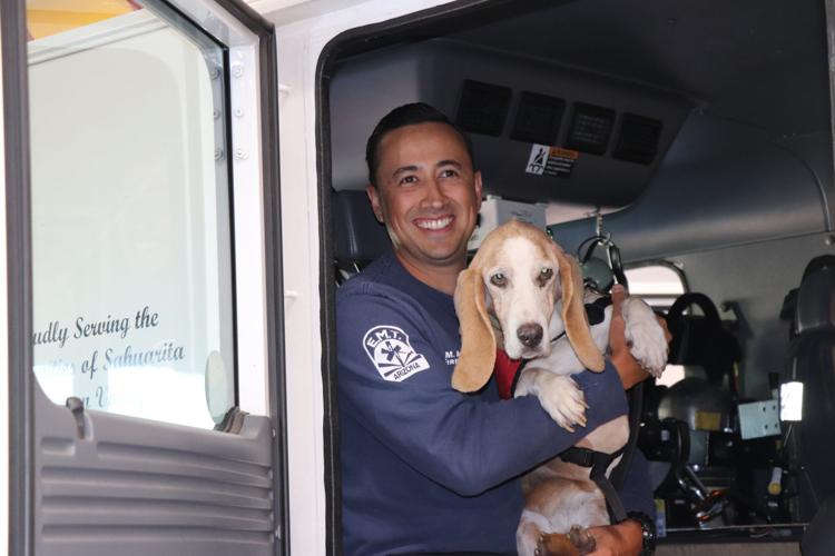 Basset Hound helps rescue owner