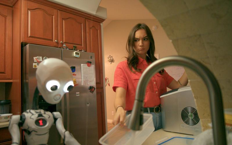 Artificial Incompetence