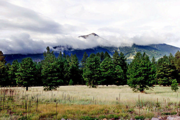 SAN FRANCISCO PEAKS