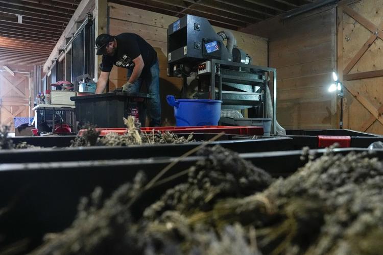 Climate Heat Skincare Sustainability