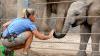 Nandi's first year is full of 'awww'