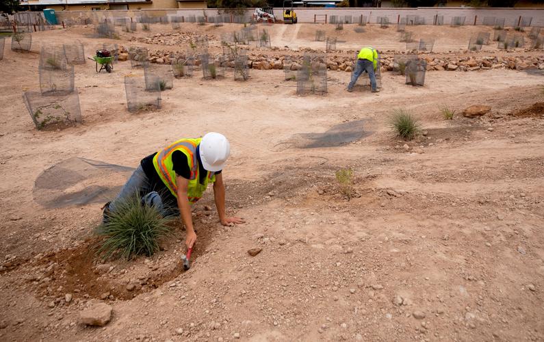 City of Tucson and Pima County stormwater-green infrasttucture project