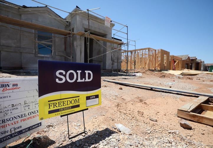 Saguaro Bloom, subdivision, homes (LE)