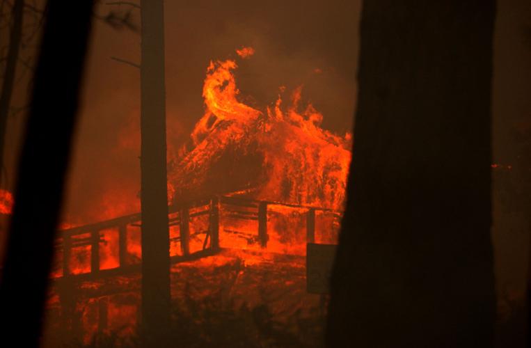Marshall Gulch Trail