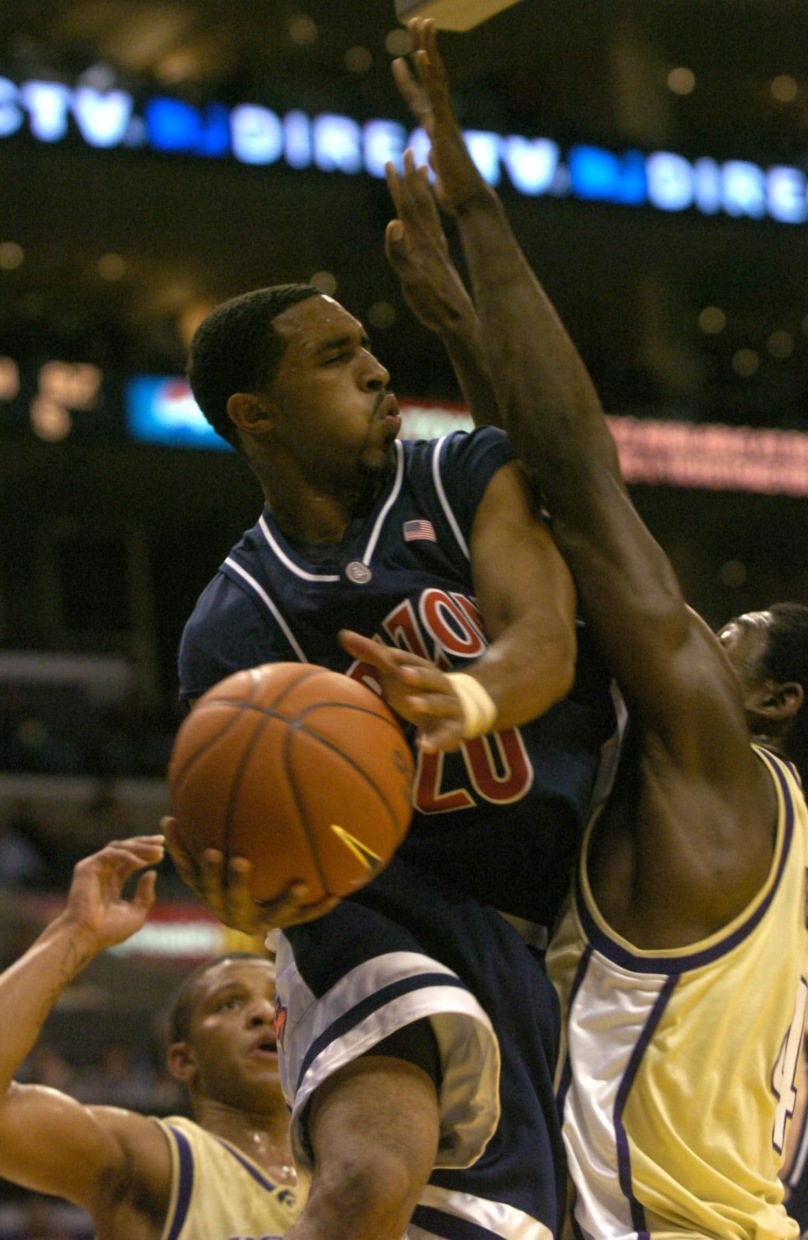 Salim Stoudamire