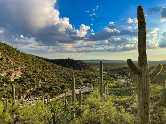 Roadless areas in Coronado National Forest could see road building again
