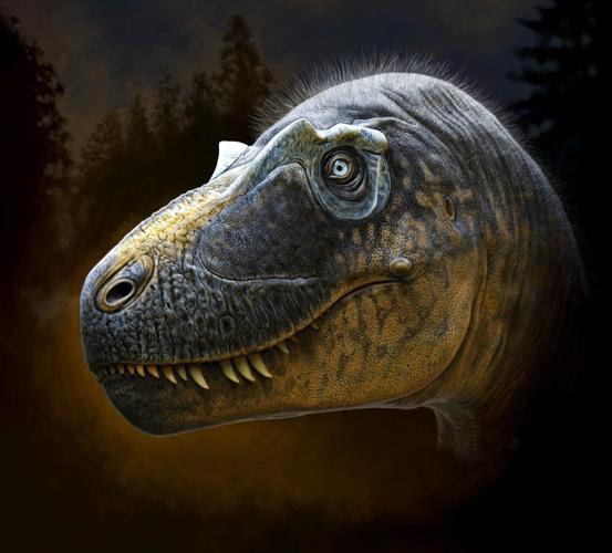 Daspletosaurus wilsoni