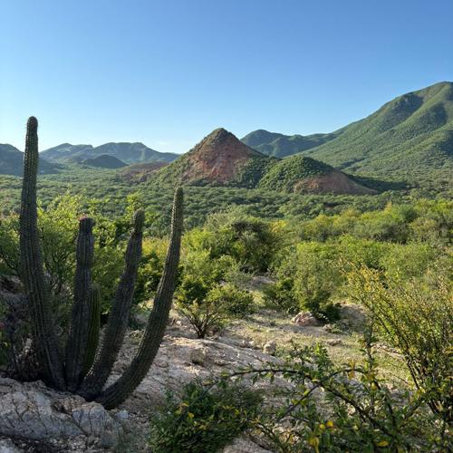 Valentina Ocampo: A Sonoran Summer to Remember