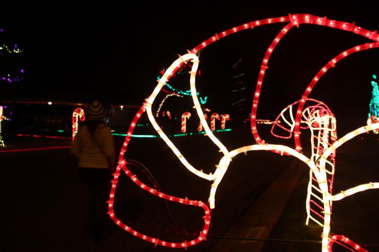 65th Annual Winterhaven Festival of Lights