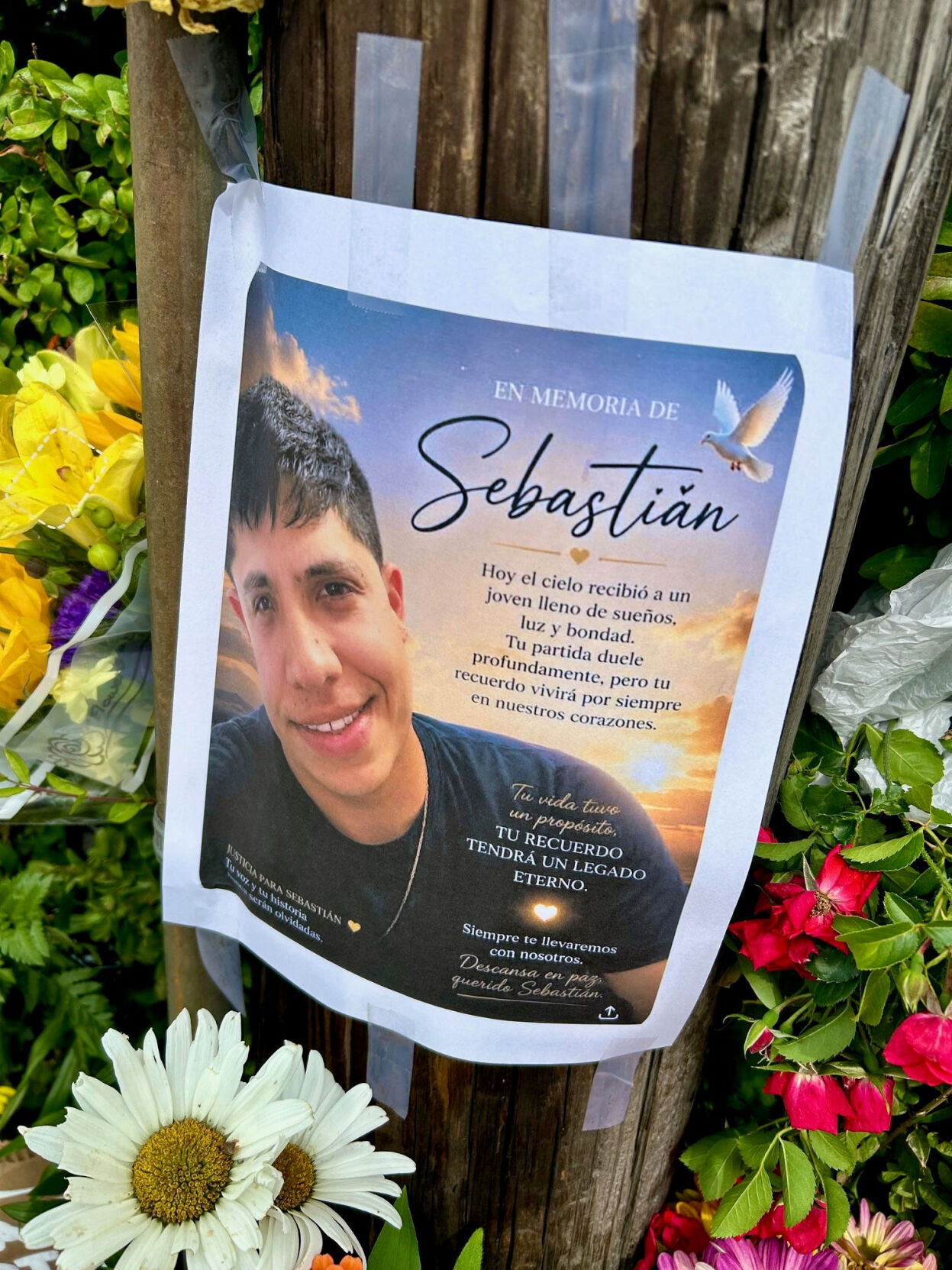 Fatal ICE shootings: Why aren't agents wearing body cams?
