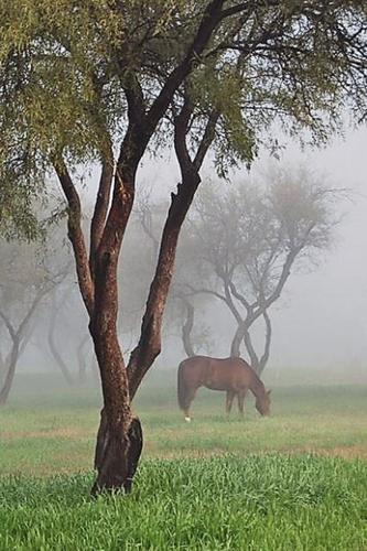 'Anywhere I go, I bring my camera'  