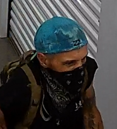 Suspect 1 version 2 Burglary