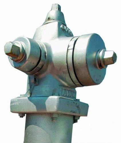 How would Earth fare if humans disappeared?  