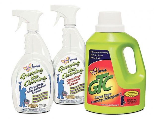 Housecleaning the greener way  