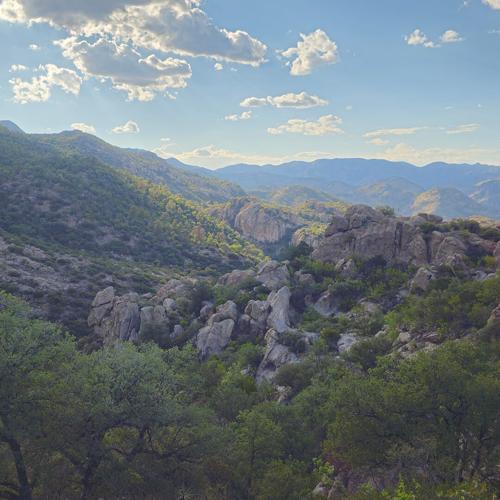 Our First Time Spring Seeking in Sierra San Diego