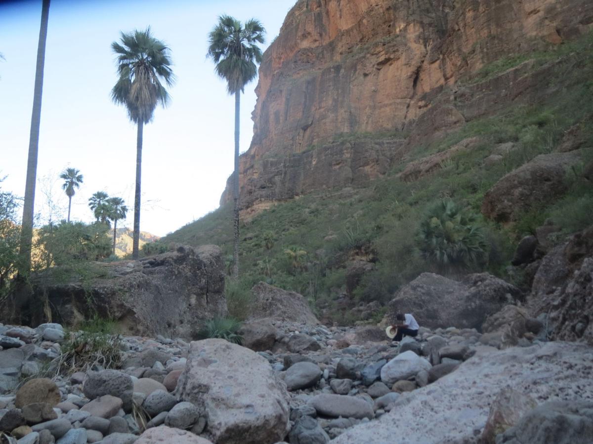 Baja Road Trip Includes The Prehistoric Rock Paintings Of San