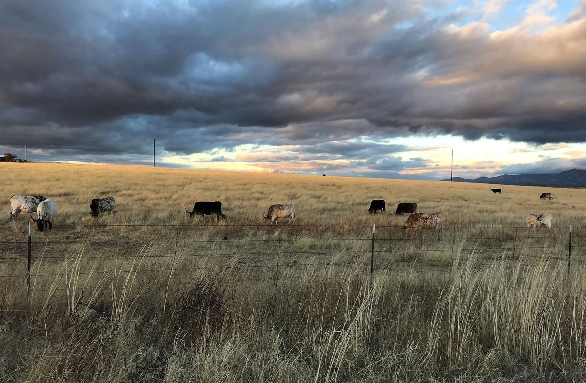 How to have the perfect weekend in Southern Arizona wine country to