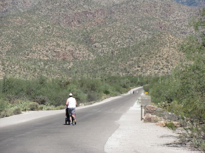 Hikers in Sabino Canyon