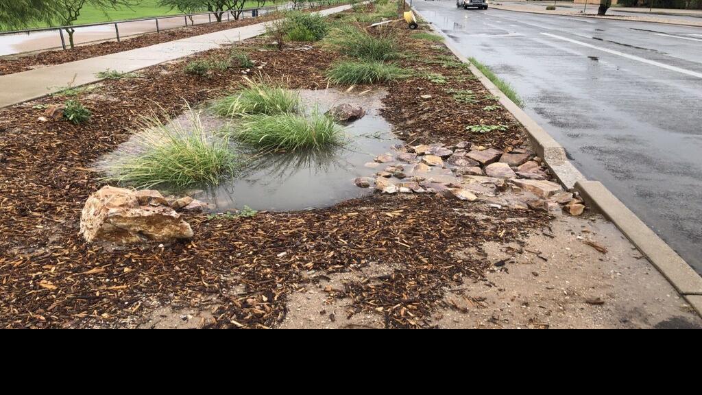 Rainwater harvesting, Tucson, 2021