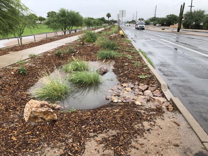 Rainwater harvesting, Tucson, 2021