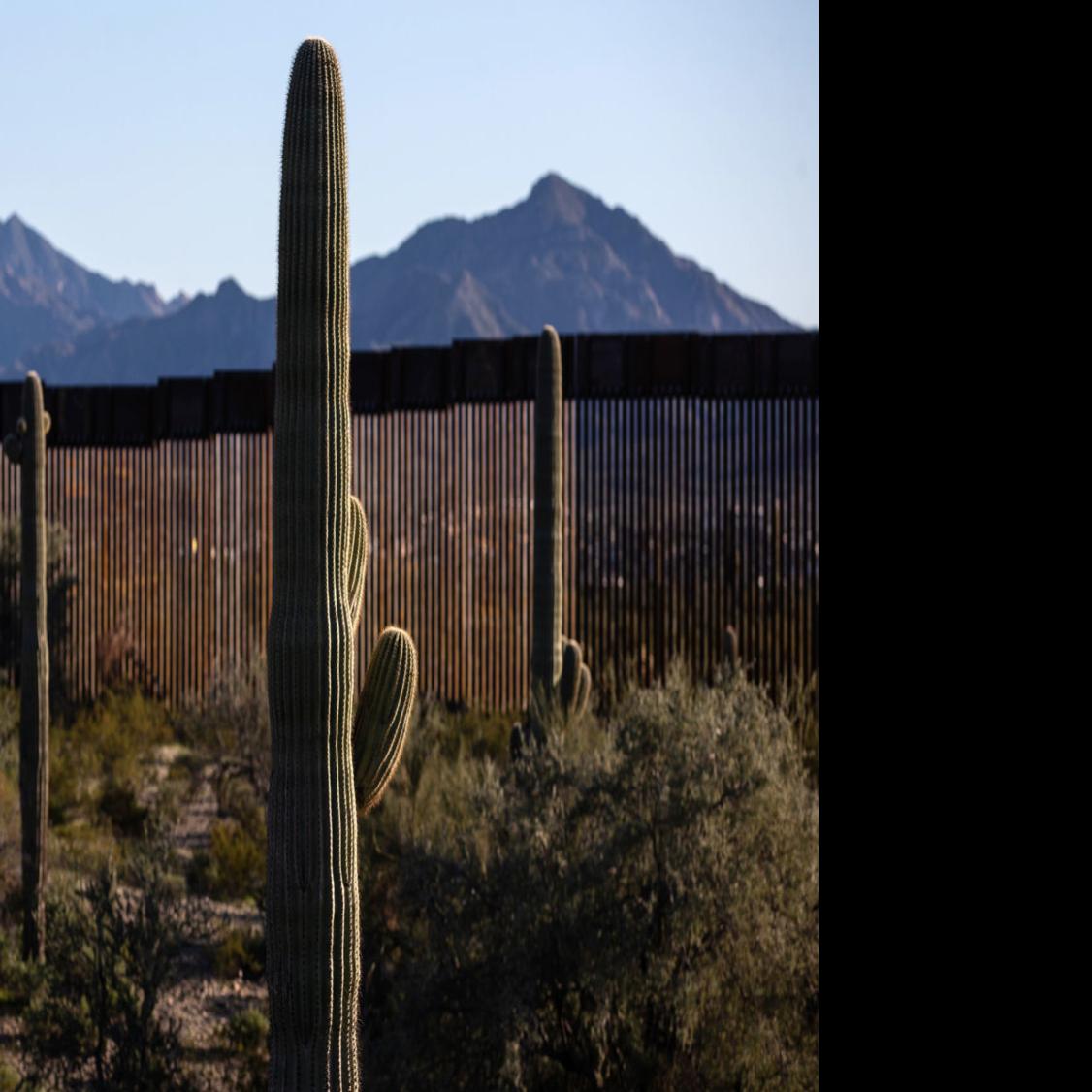 Border Wall Is Quickly Changing Look Of Desert In Southwestern