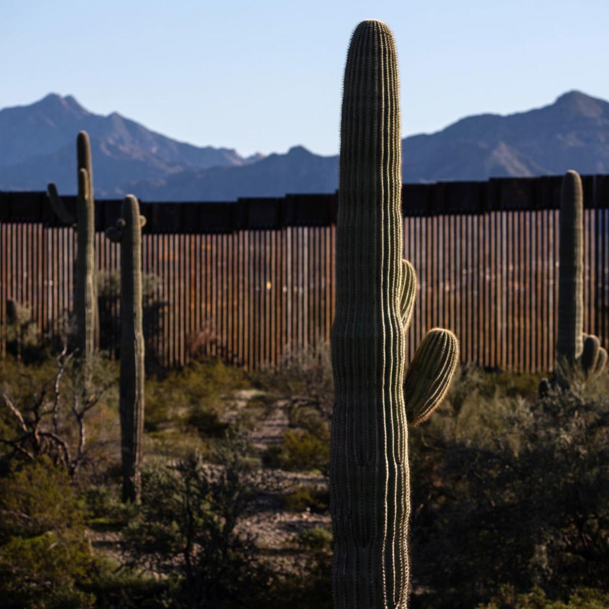 Border Wall Is Quickly Changing Look Of Desert In Southwestern