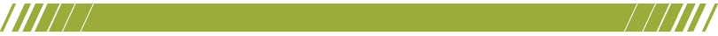 The Renewable Energy “Green” Endowment