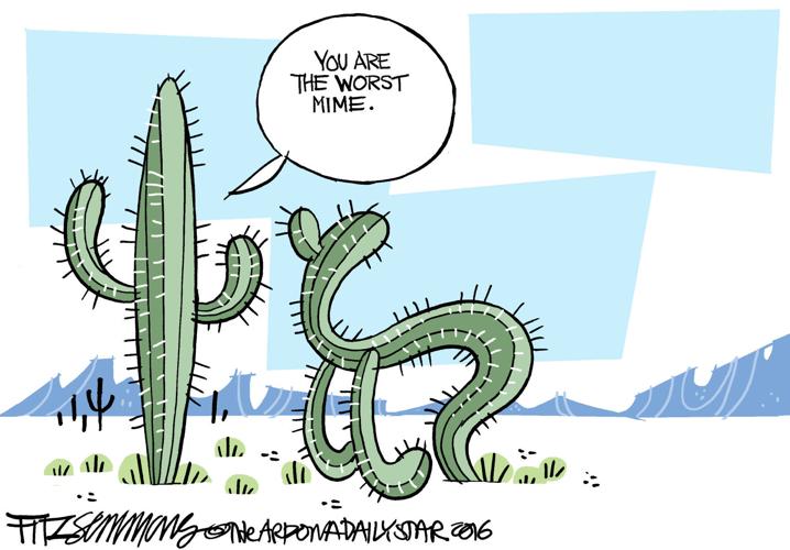 Last Laugh: Saguaros at play