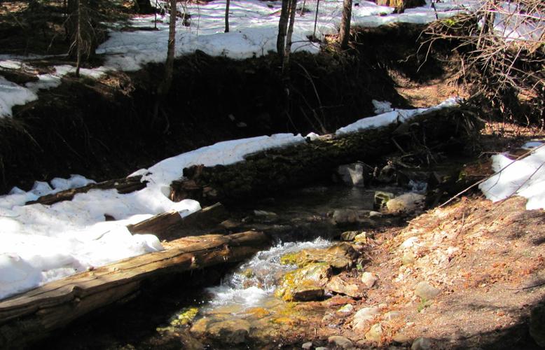 Abundant snow in Catalinas