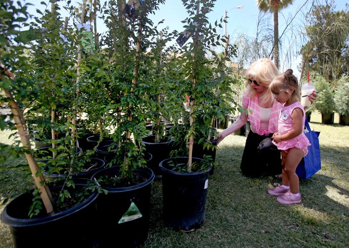 23rd Annual Earth Day Festival