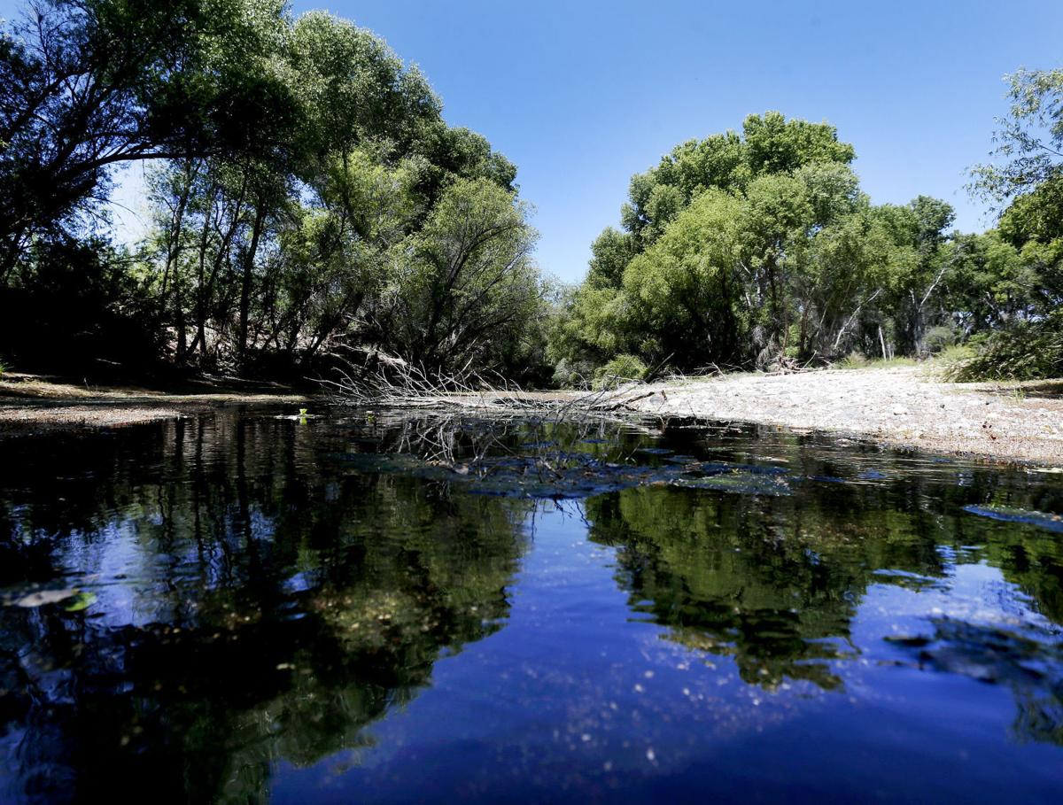 San Pedro River