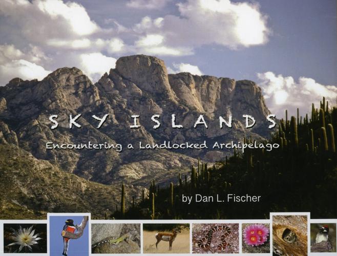 Sky Islands – Encountering a Landlocked Archipelago