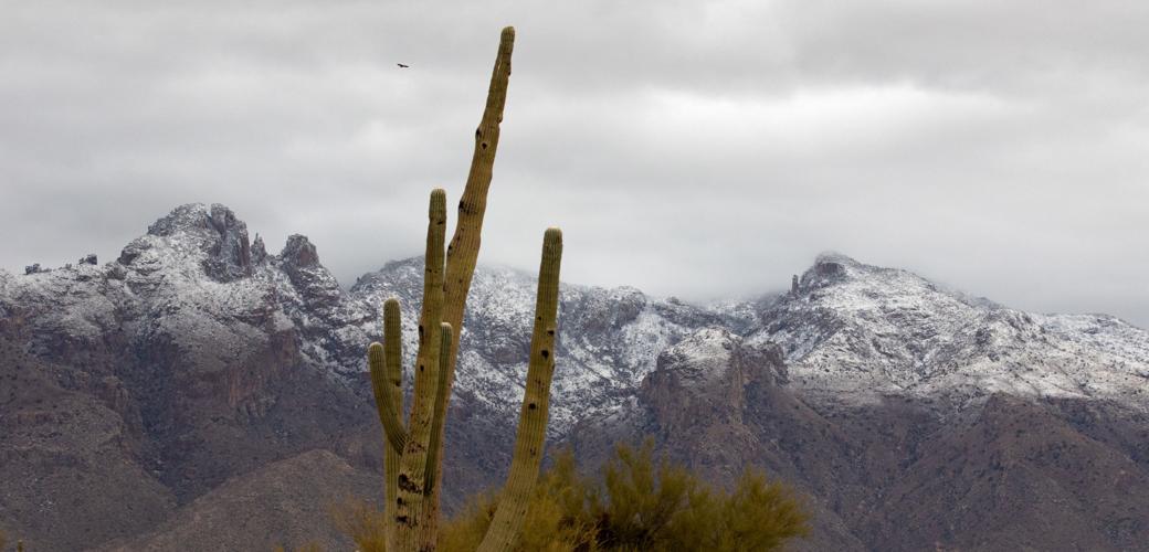 Nieve en las Catalina