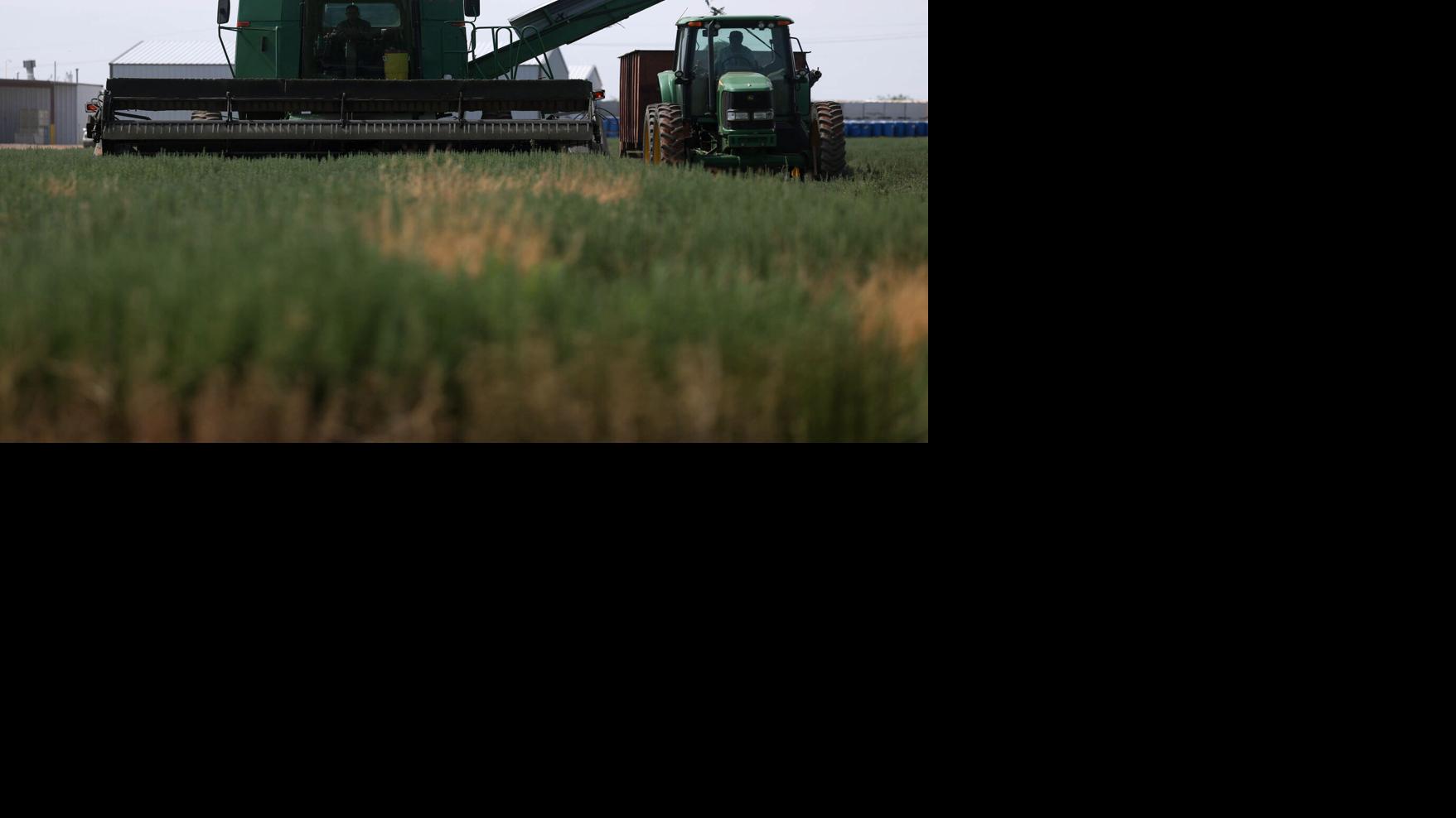 State pushes 10% water use cut for farmers in Willcox Basin