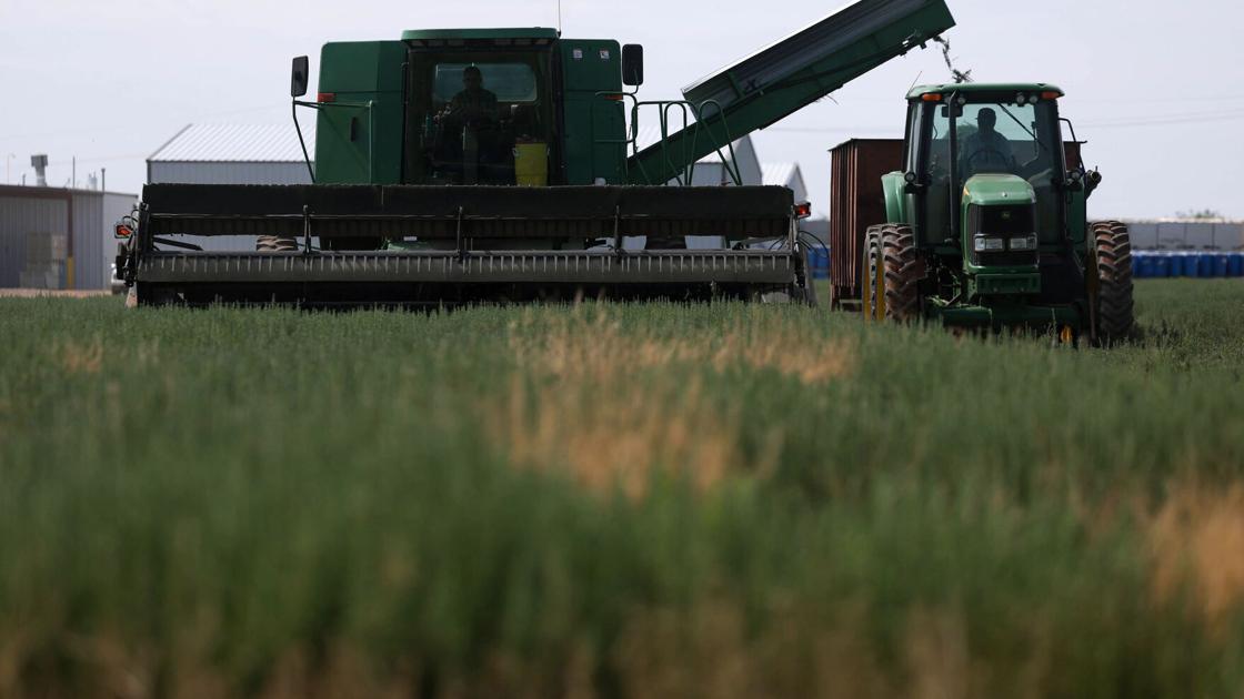 State pushes 10% water use cut for farmers in Willcox Basin