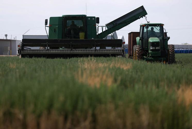 State pushes 10% water use cut for farmers in Willcox Basin