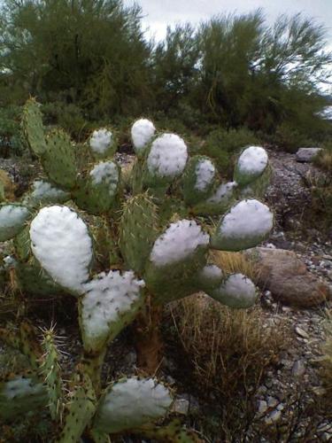Snowfall around Tucson